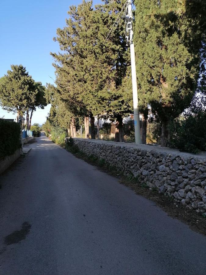 Camera Vicino L'Aeroporto Di Palermo 卡里尼 外观 照片